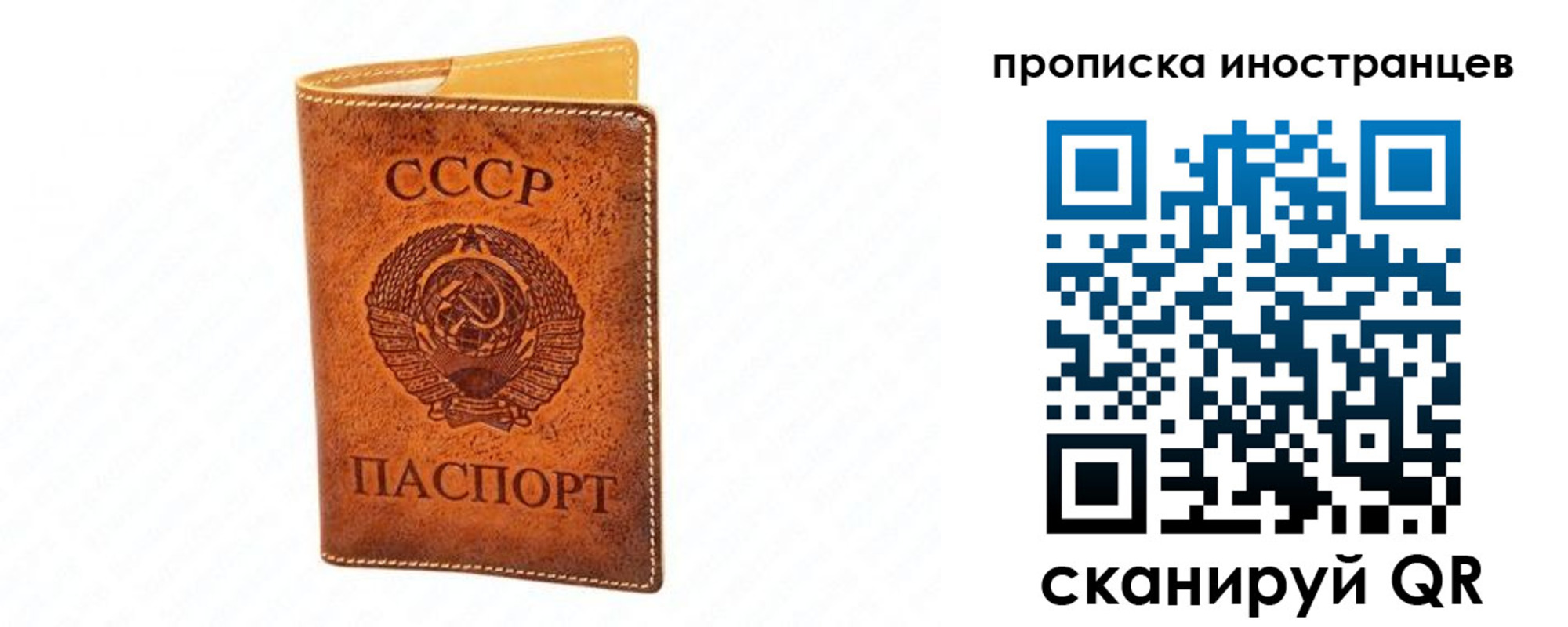 прописка для школы в Торопеце